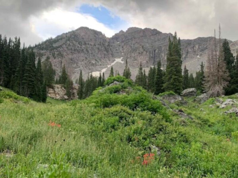 Trail Running a Marathon With 4 Days of Training